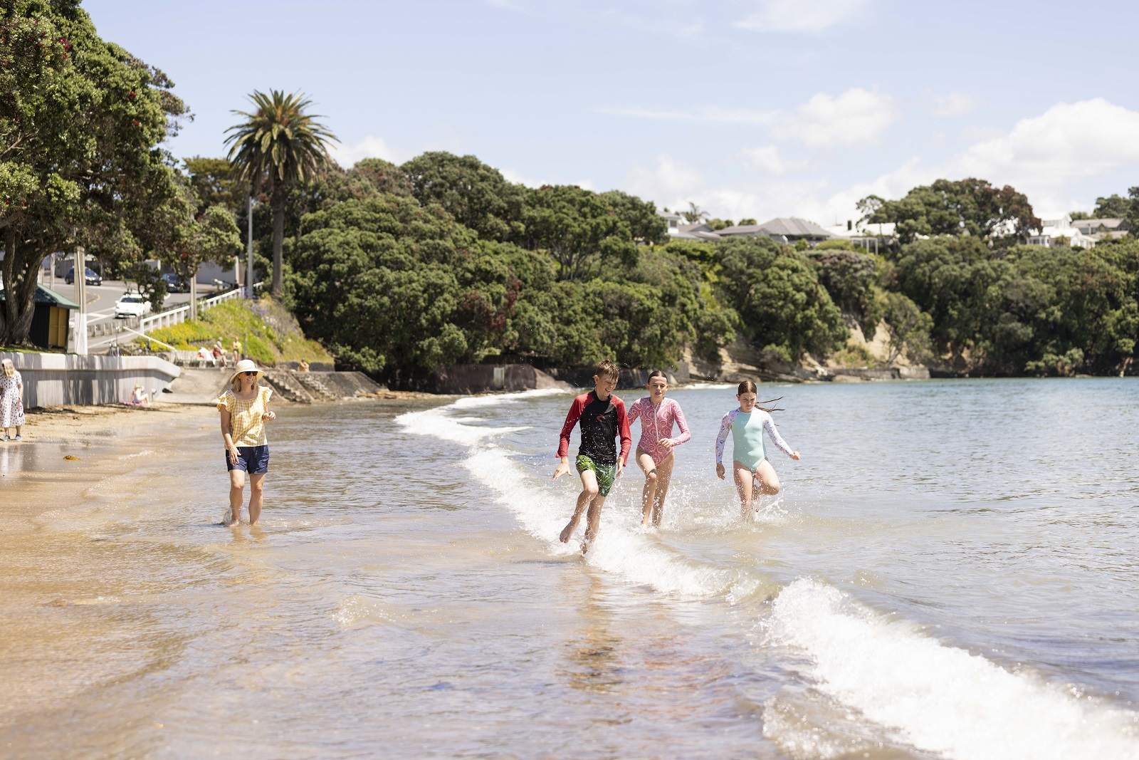 Narrow Neck Beach