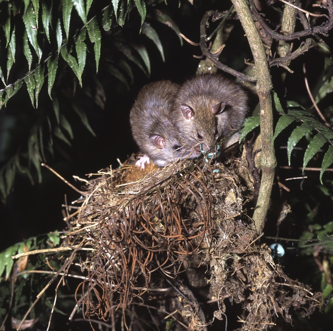 Pack your bags, you’re leaving town