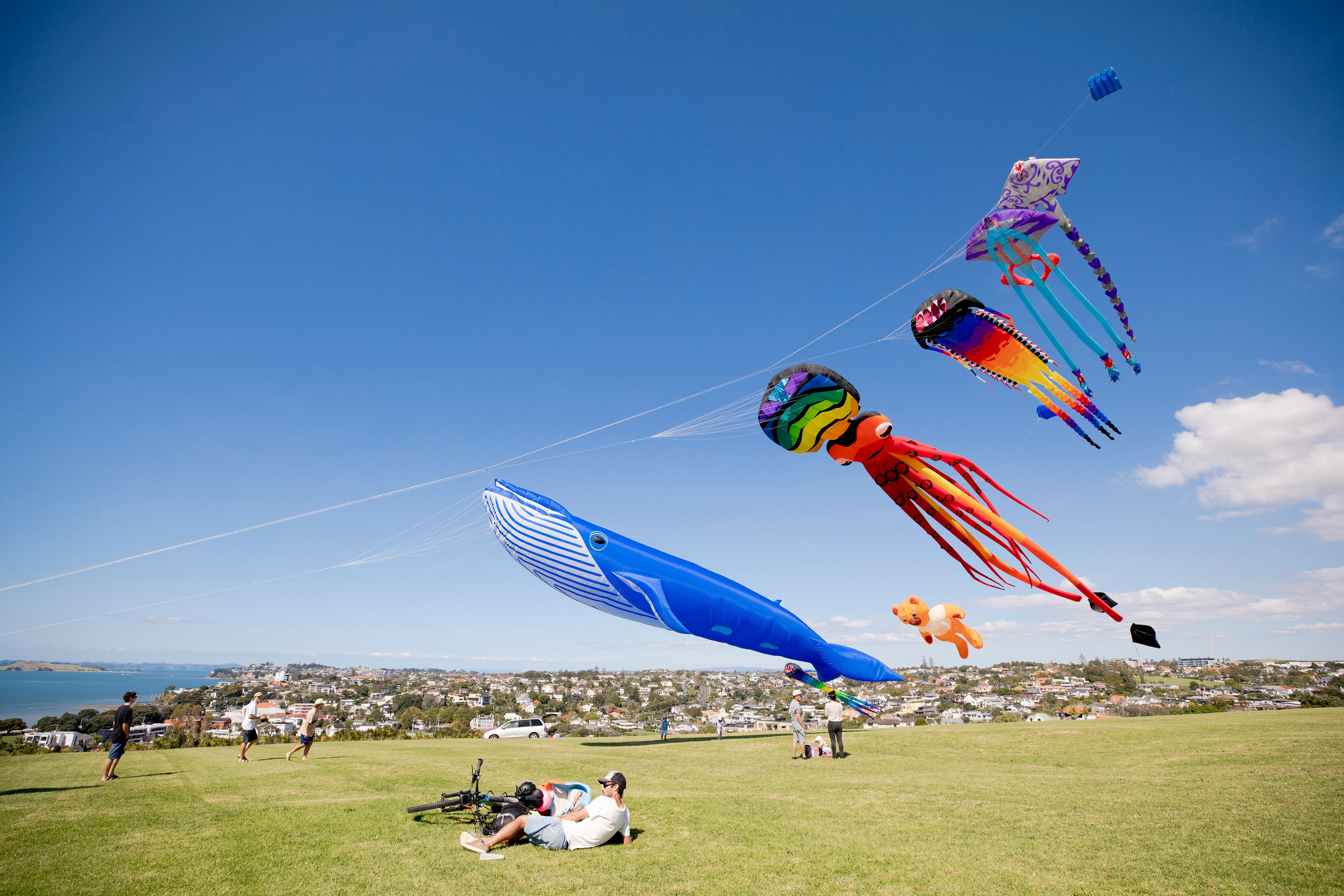 Manu Aute Kite Day