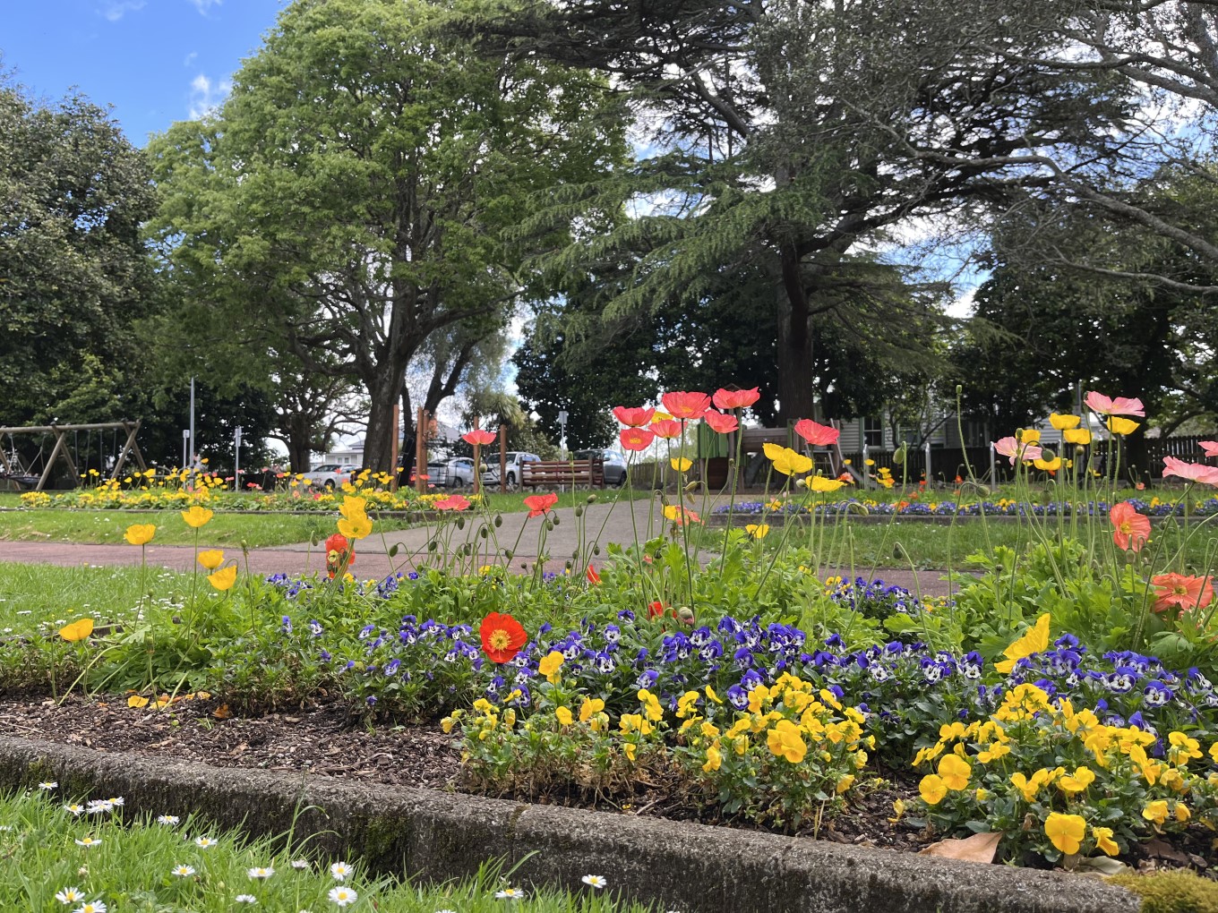 Outhwaite Park winter/spring flower display