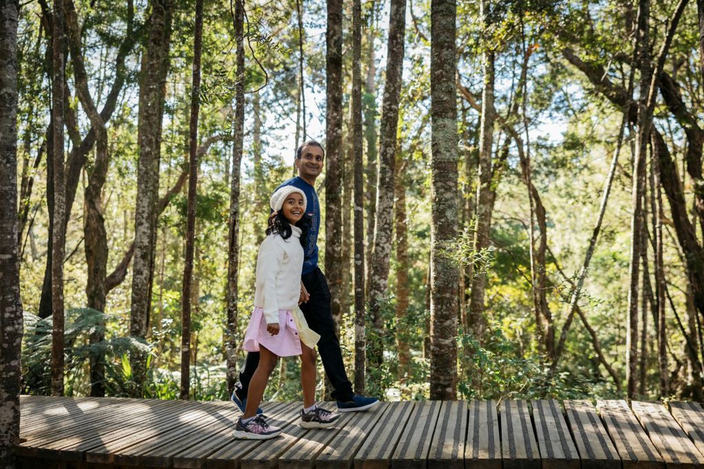 Kauri Glen Reserve
