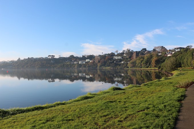 New plan to help local ecology in Orakei