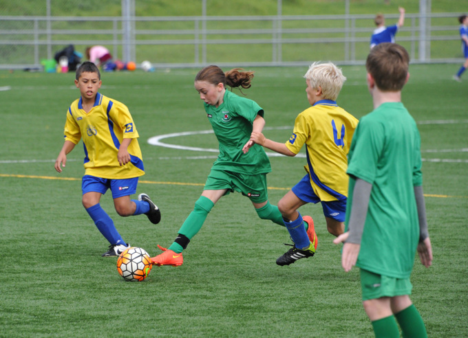 Supporting sports in Albany