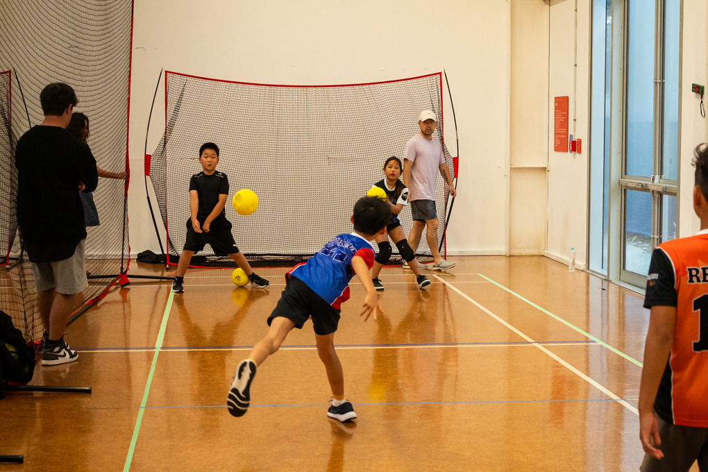 Dodge Ball image_oddoz3ux.jpg