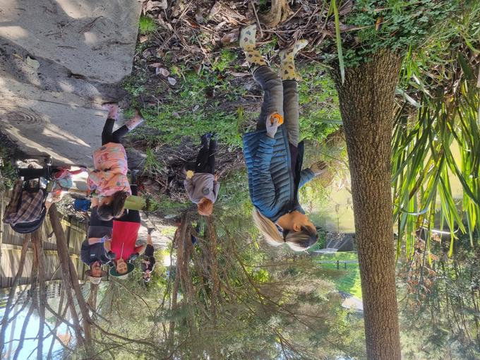 Community corner with Restore Hibiscus and Bays image_ns0gczfm.jpg