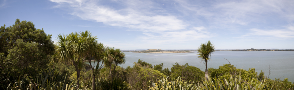 Waikōwhai Park