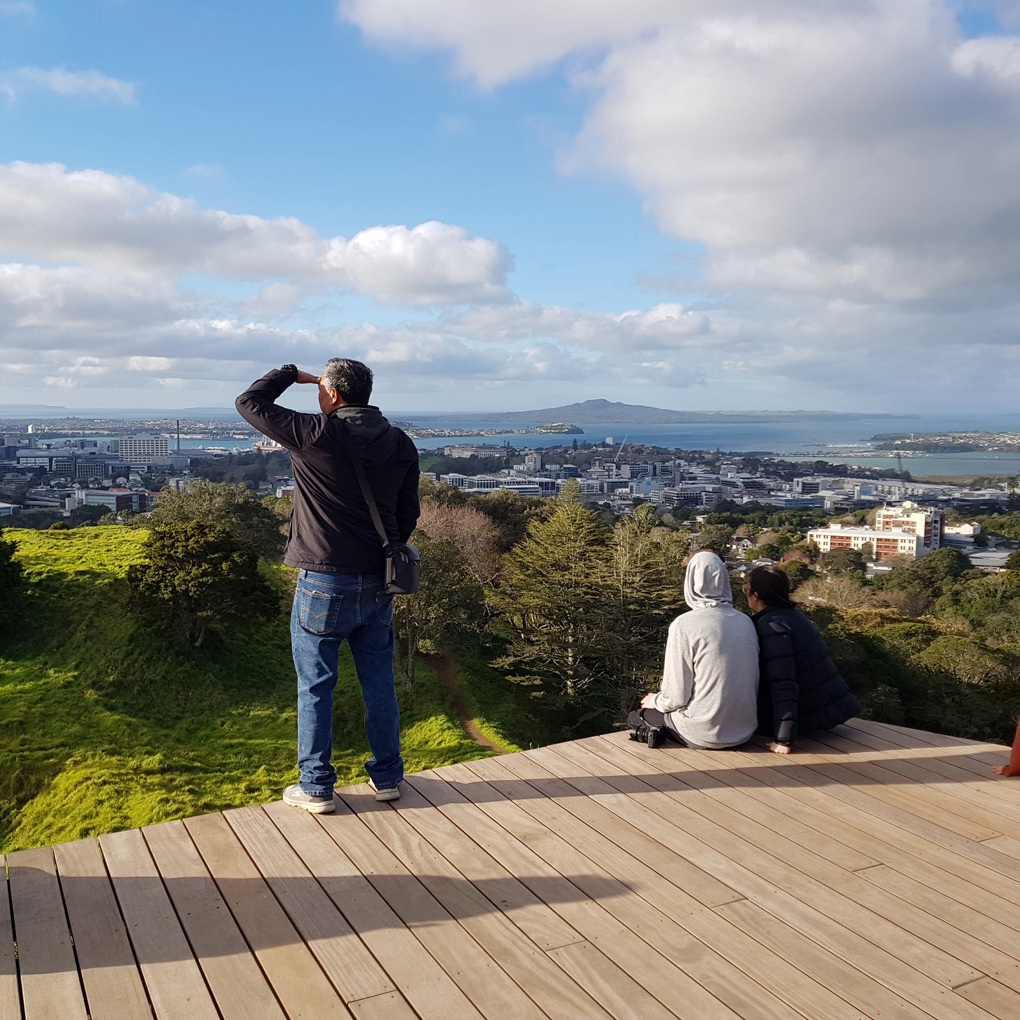 New boardwalk the next step in preservation of Maungawhau (1)