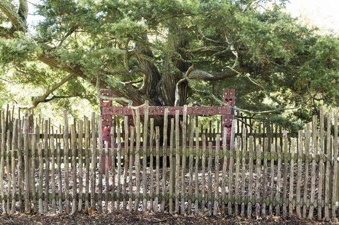 Matariki Dawn Karakia Event