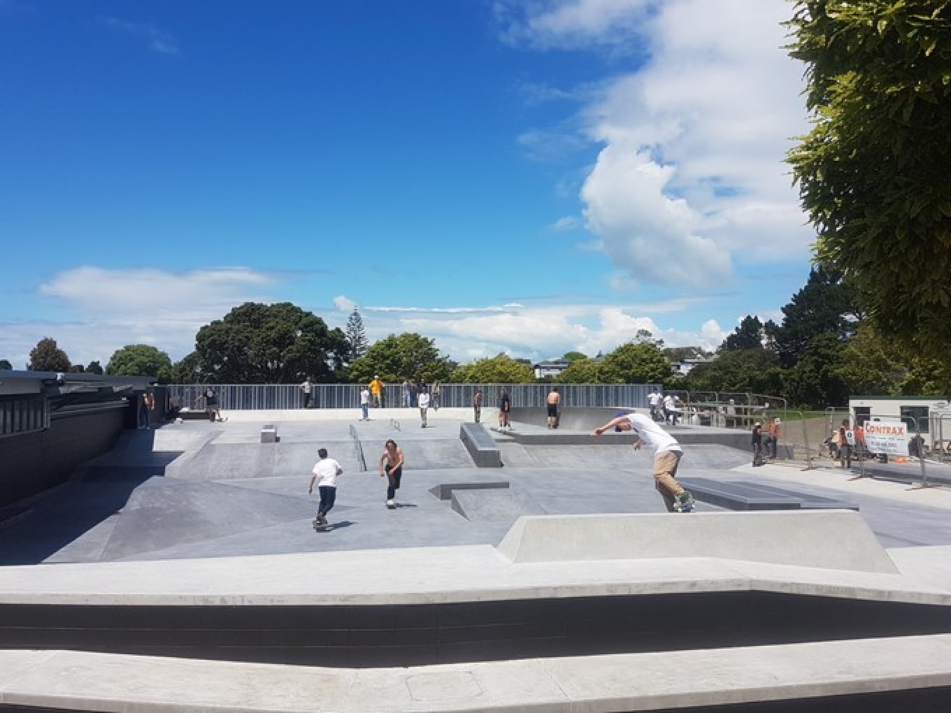 Picture of several people skateboarding at the Birkenhead Skatepark on a sunny day
