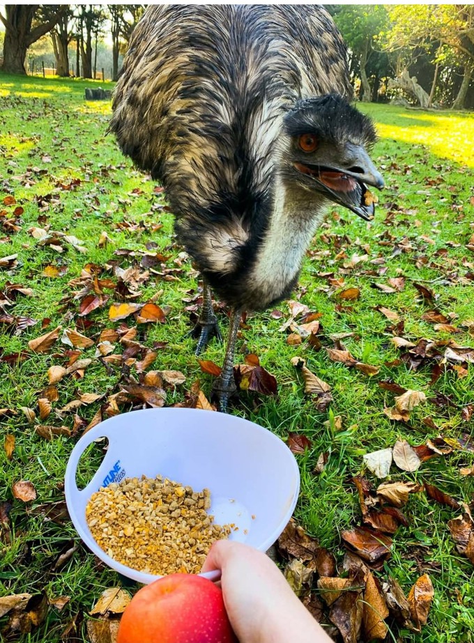 Amorous Eric takes flight in search of love