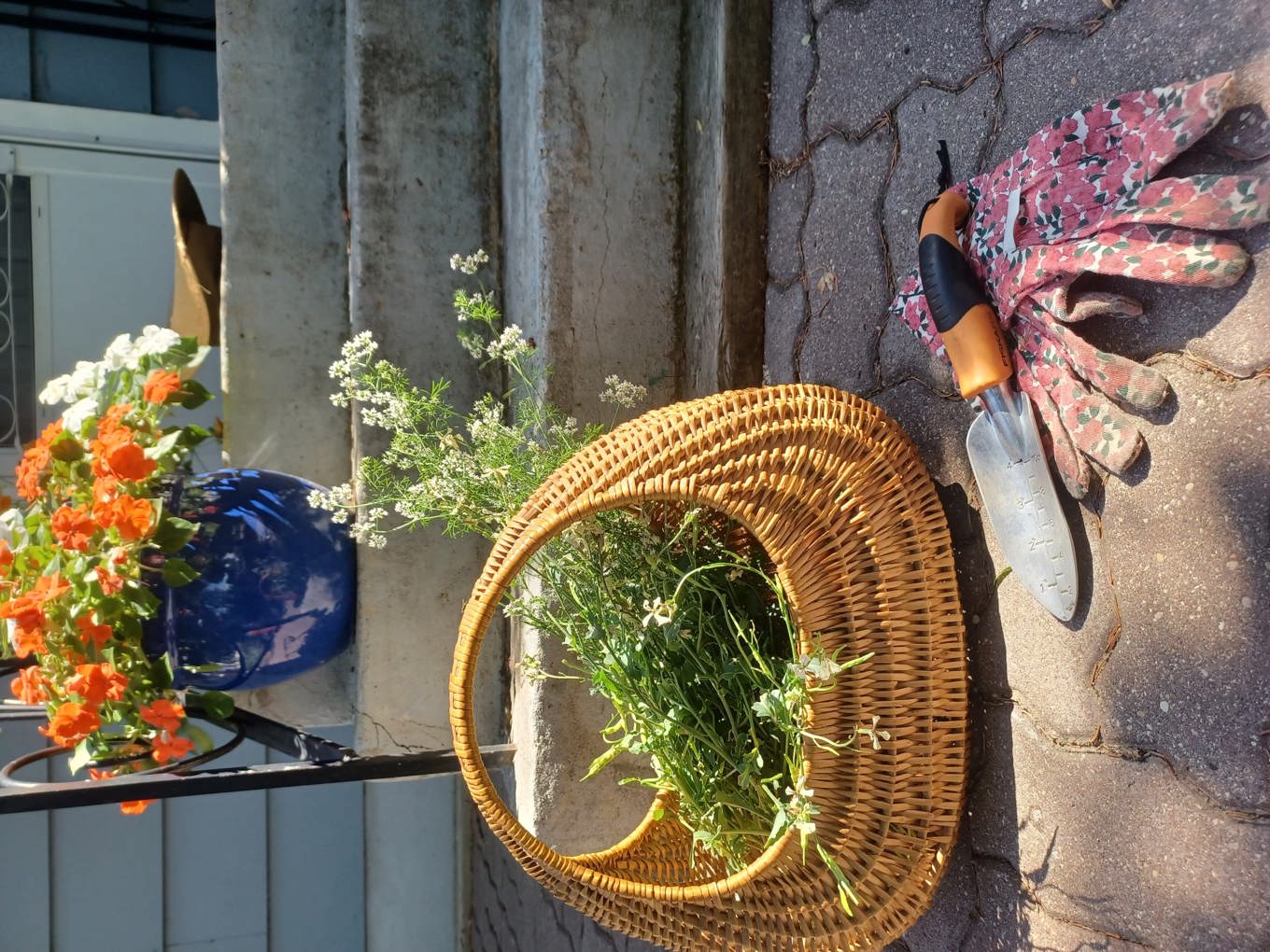 Flowers in a basket_qikhpqq3.jpg