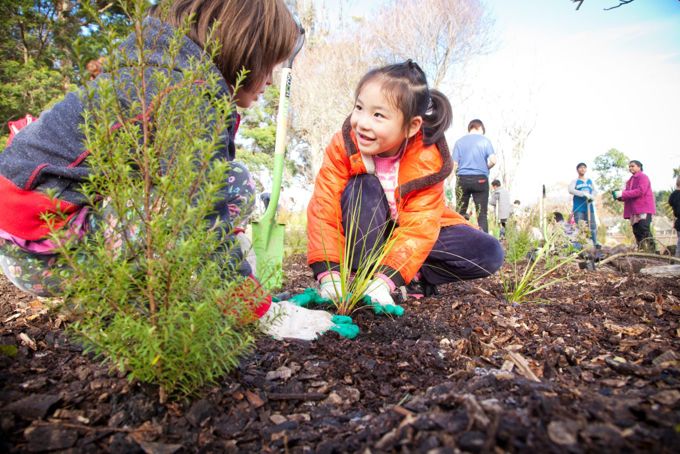 Chalmers Reserve Tree Planting