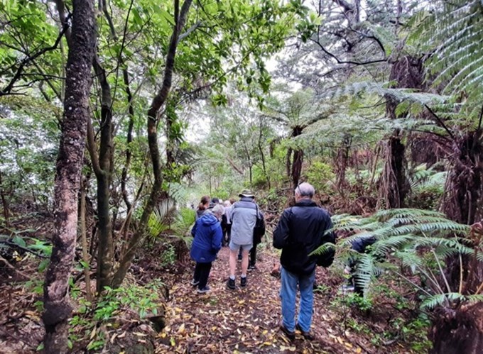 Ranger Guided Walk – Rooseville Reserve, Pukekohe