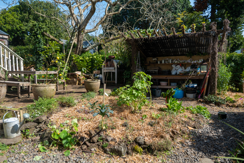 AlbertEden gardeners showcase fruits of their labour OurAuckland