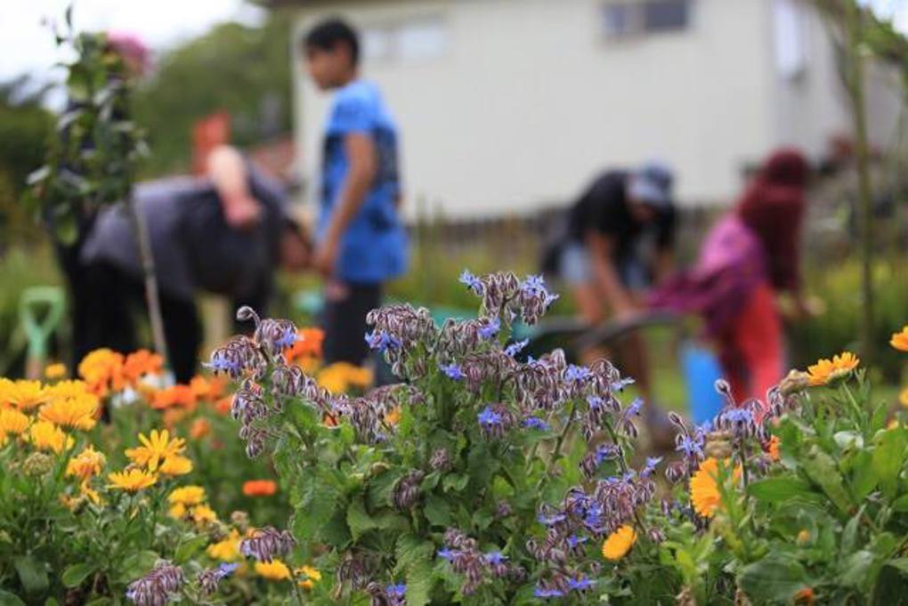 Eco Neighborhood owairaka