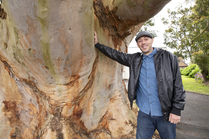 Protecting Aucklands heritage trees ii