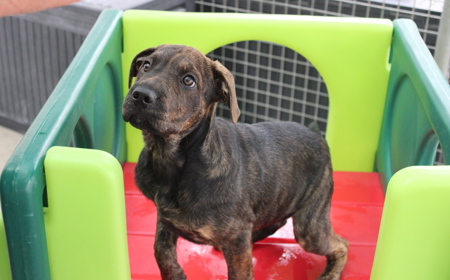 Hampshire tile image