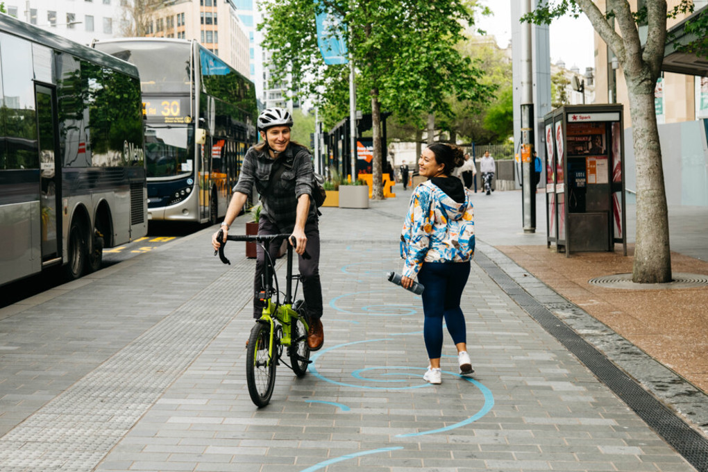 Auckland Council allocates $225,000 to support community-based climate action
