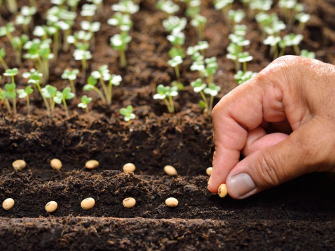 Seed Saving Workshop_nwrm31gh.png