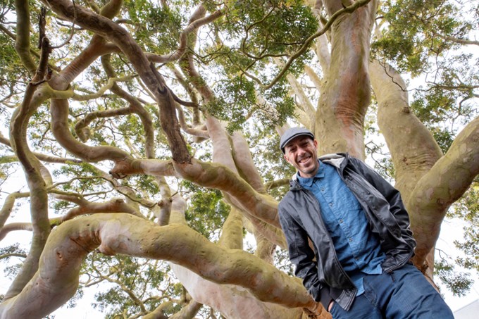 Protecting Aucklands Heritage trees