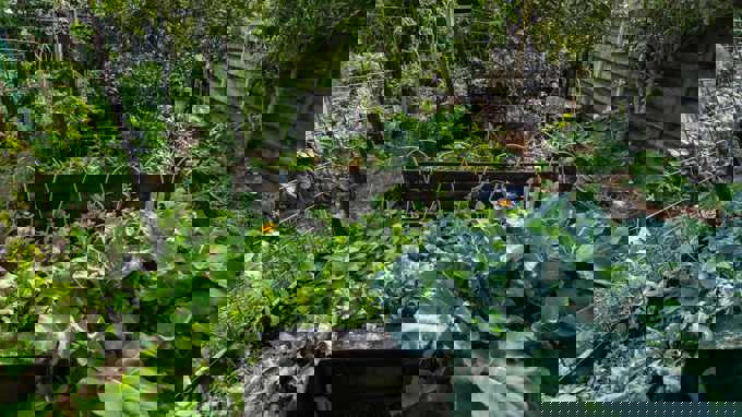 Garden Trail Garden 2