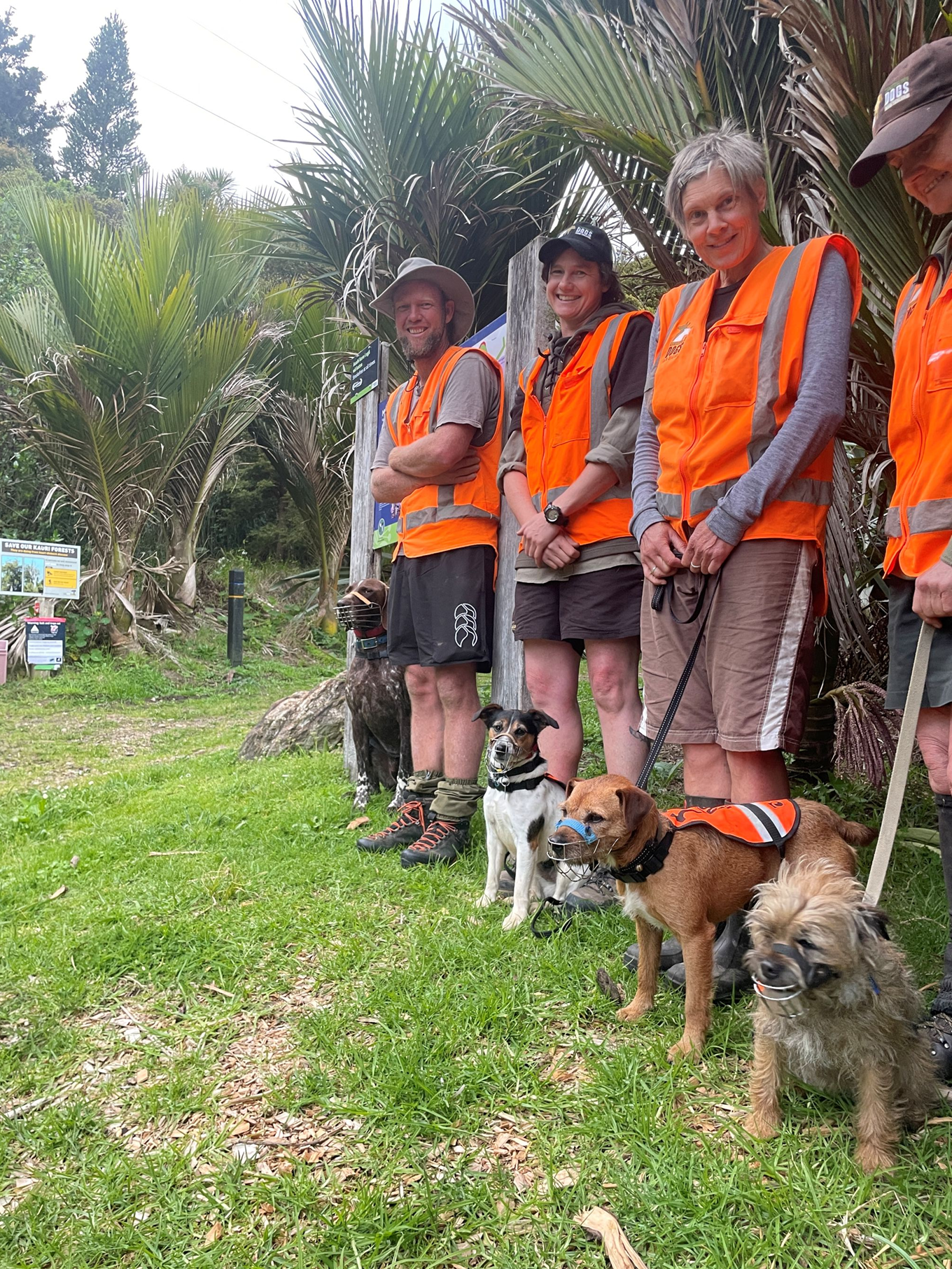 Auckland Council rangers with dogs trained to hunt stoats. 