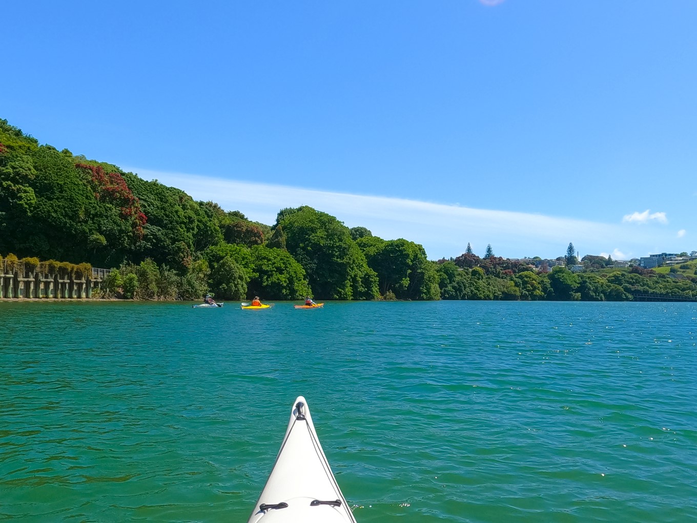 Ōrākei Basin is a great spot for kayaking. The flushing schedule shows when the basin will be tidal and the online schedule also shows when the basin is used for waterskiing.