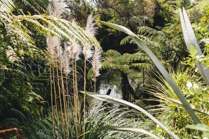 Protecting the Puhinui from lockdown litter (2)
