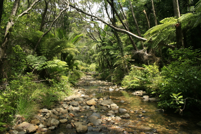 Macroinvertebrate community Index
