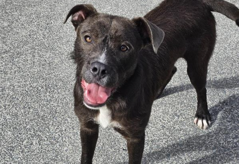 Screenshot 2026 01 20 092637