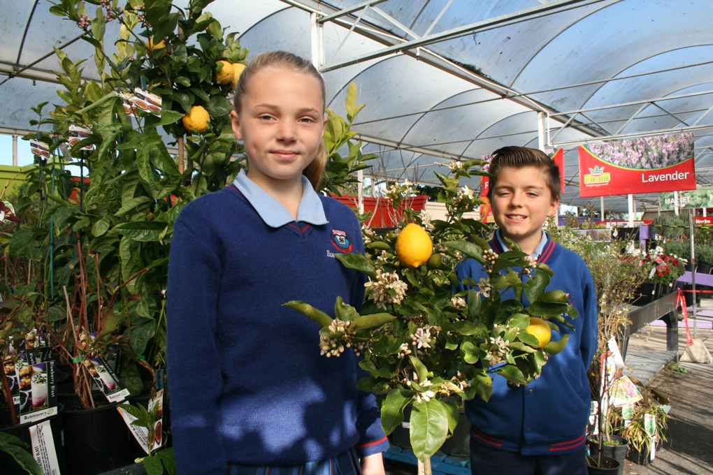 Fruit trees project to boosting health and wellbeing