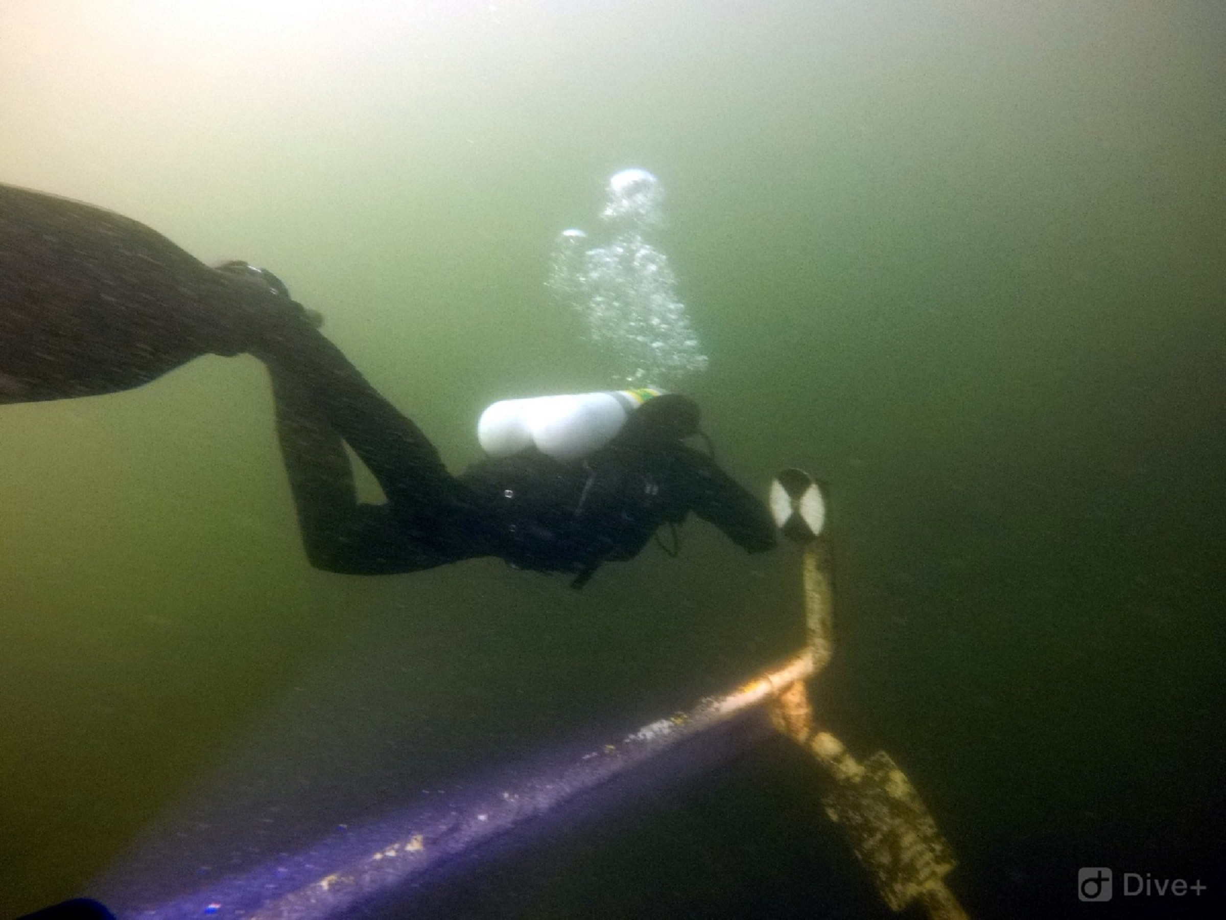 Restoring Lake Pupuke a high priority OurAuckland