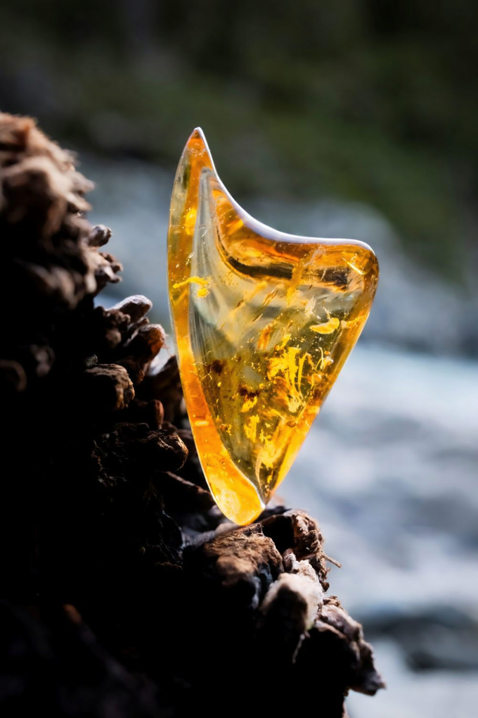 musical firelight_hoii2soq.png