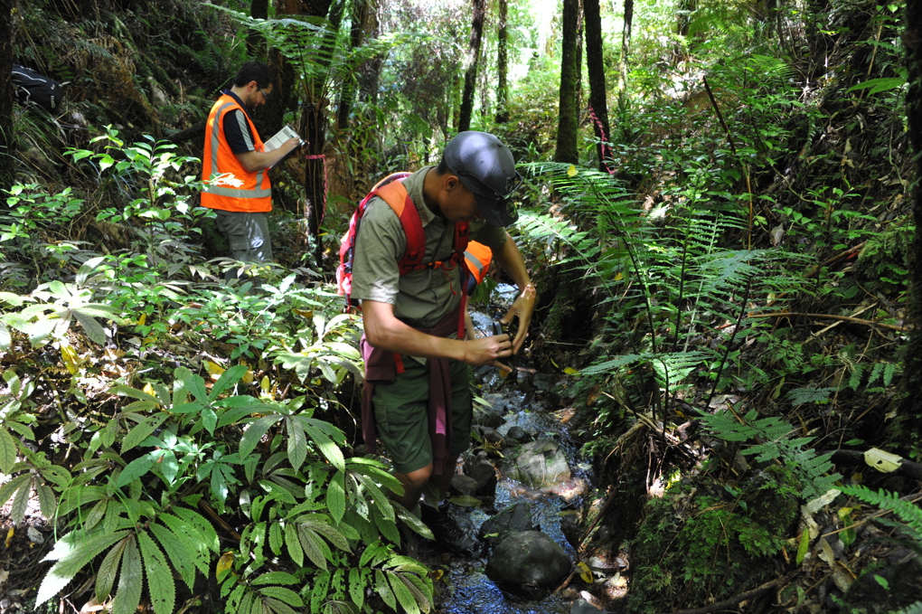 20151203_HUNUA_Monitoring & banding_ (130).JPG