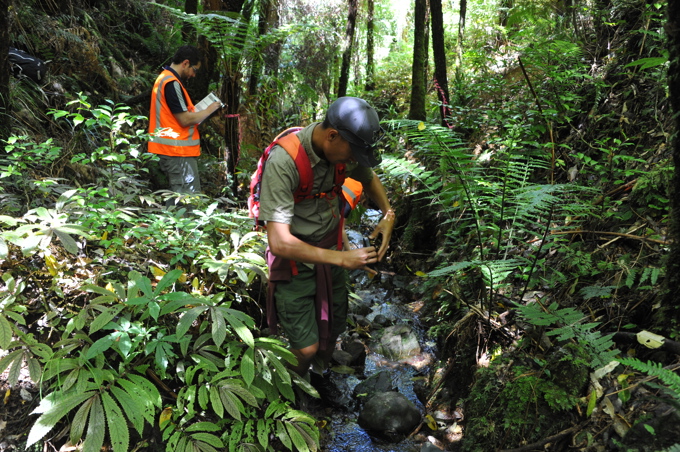 20151203_HUNUA_Monitoring & banding_ (130).JPG