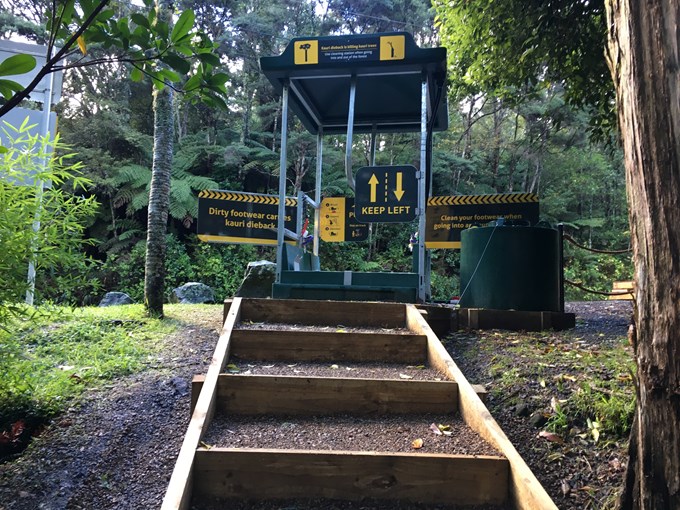A year in review: progress on keeping kauri safe_hygiene station
