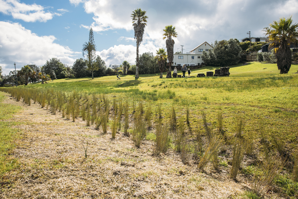 A grassy field at Red Beach Park. 