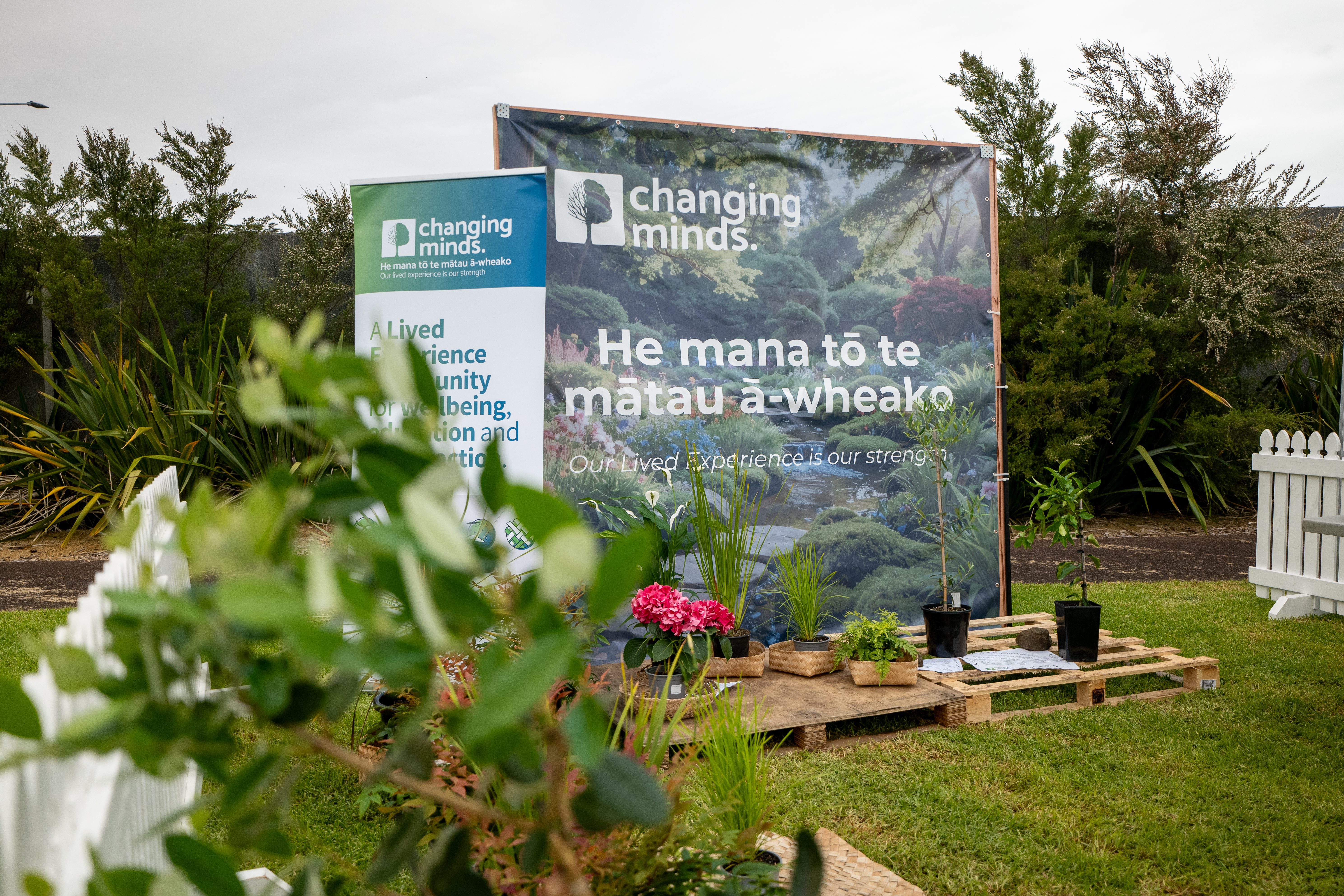 A community gardening project. 