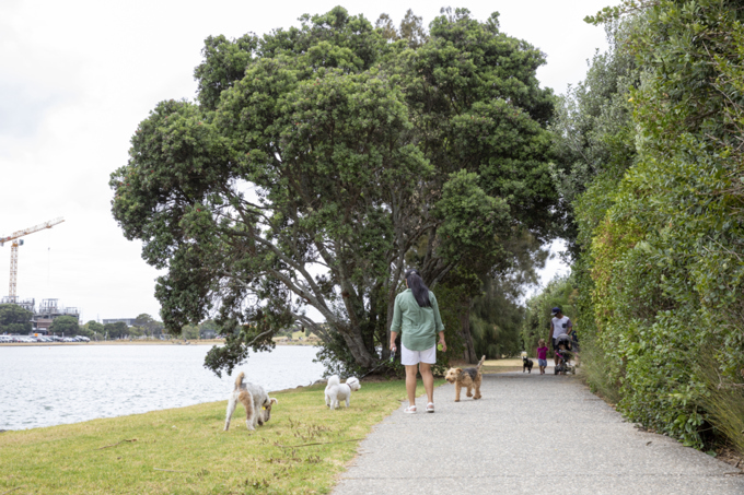 Onehunga Bay Reserve