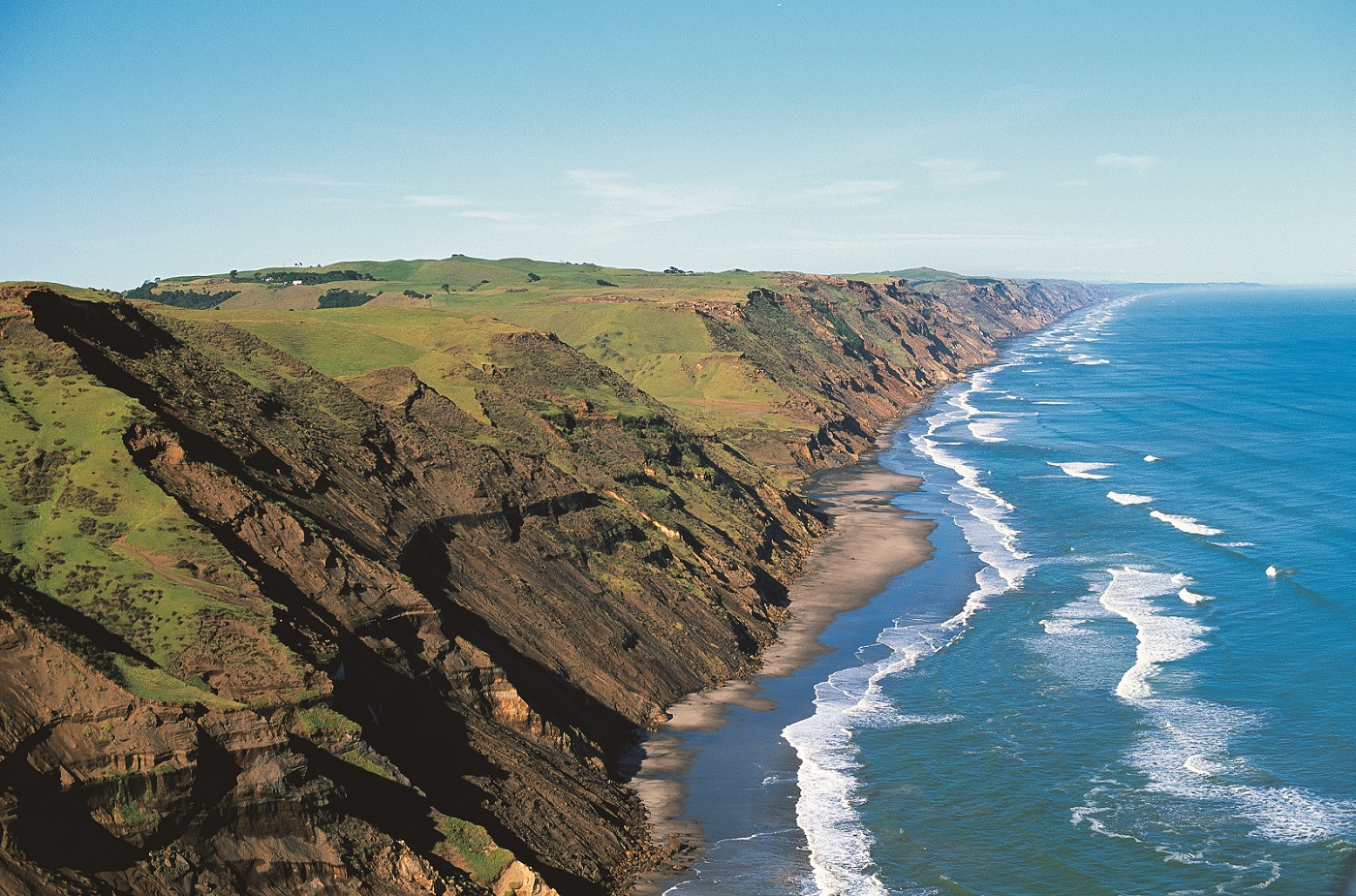 Eight fabulous things about Franklin OurAuckland