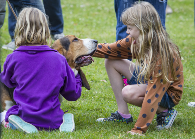 Parnell Festival of Roses 8