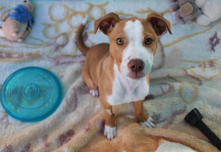 IMG 9612