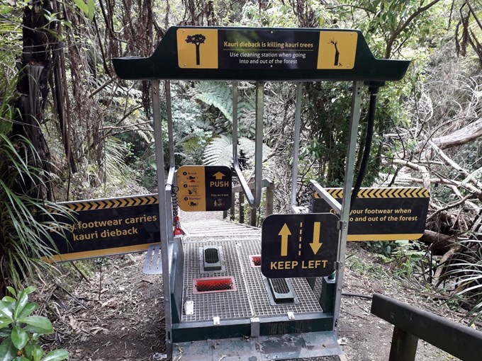 New hygiene stations to protect kauri in Albany (1)