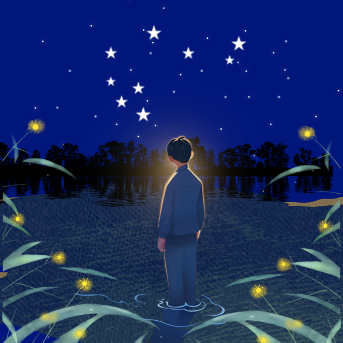 Botany Matariki 2026 Images_b45qefob.png
