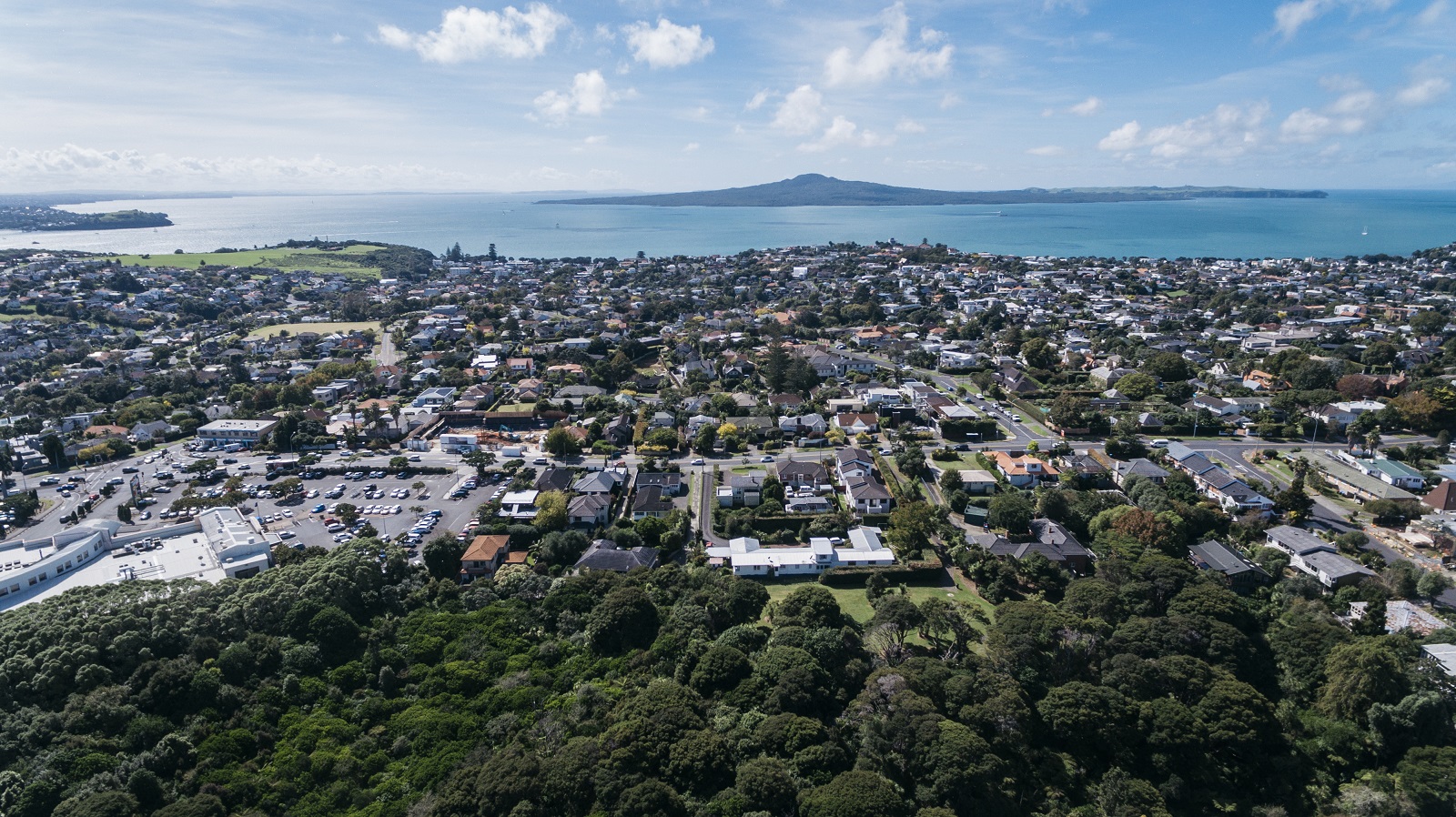 auckland-council-finalises-its-approach-for-government-s-nps-ud