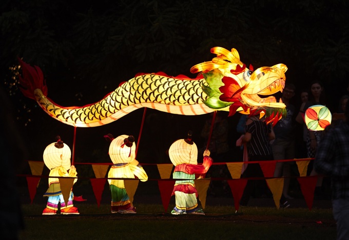 Auckland 2019: what’s on, what’s new and what you need to do