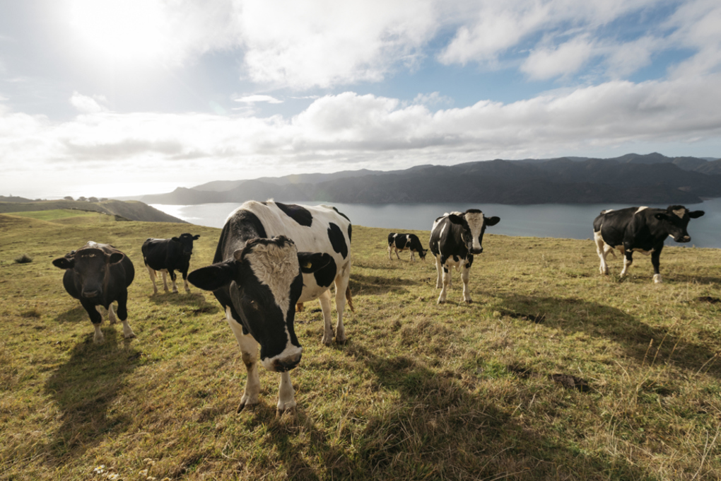 Farms of the future3