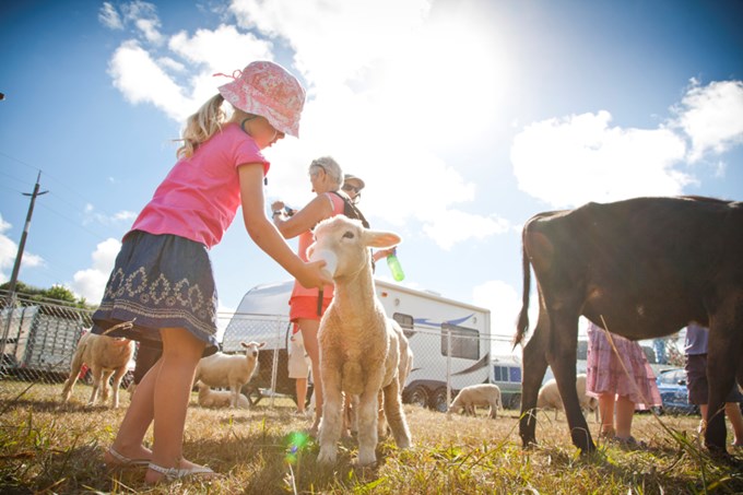 11 places to see baby farm animals in Auckland this spring - OurAuckland