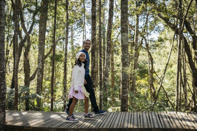 Kauri Glen Reserves' Treetop Boardwalk