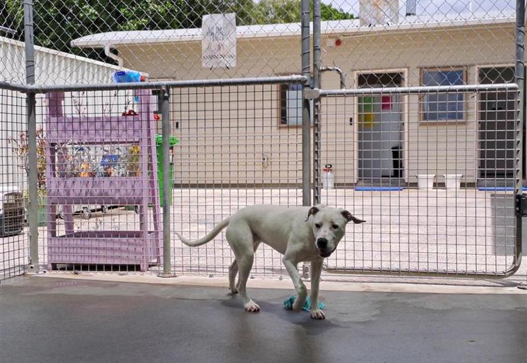 B410b3dd D156 4358 90F9 2045500514E9